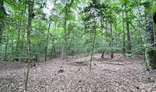 Photo #26 of Off Doggett Lane, Carrollton, VA 21.0 acres