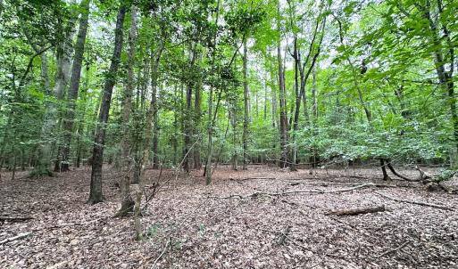Photo #27 of Off Doggett Lane, Carrollton, VA 21.0 acres