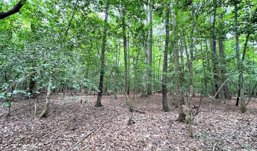 Photo #28 of Off Doggett Lane, Carrollton, VA 21.0 acres