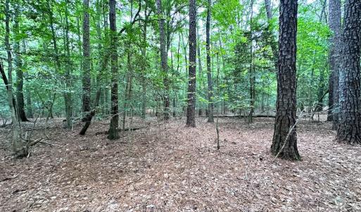 Photo #30 of Off Doggett Lane, Carrollton, VA 21.0 acres