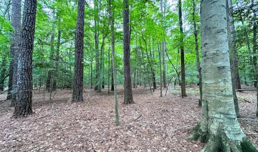 Photo #31 of Off Doggett Lane, Carrollton, VA 21.0 acres