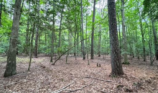 Photo #32 of Off Doggett Lane, Carrollton, VA 21.0 acres
