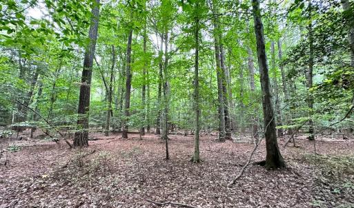 Photo #34 of Off Doggett Lane, Carrollton, VA 21.0 acres