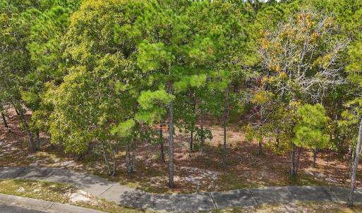 Photo #30 of 2921 N Magellan Blvd SE, Bolivia, NC 0.8 acres