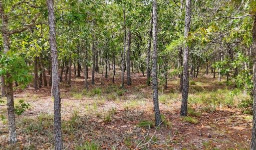 Photo #34 of 2921 N Magellan Blvd SE, Bolivia, NC 0.8 acres