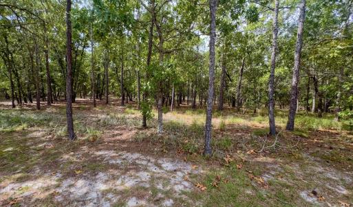 Photo #35 of 2921 N Magellan Blvd SE, Bolivia, NC 0.8 acres