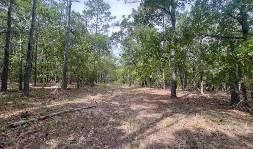Photo #38 of 2921 N Magellan Blvd SE, Bolivia, NC 0.8 acres