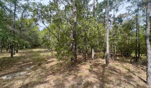 Photo #39 of 2921 N Magellan Blvd SE, Bolivia, NC 0.8 acres