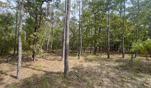 Photo #40 of 2921 N Magellan Blvd SE, Bolivia, NC 0.8 acres