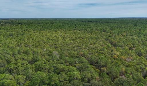 Photo #9 of 2921 N Magellan Blvd SE, Bolivia, NC 0.8 acres