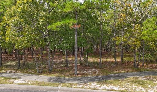Photo #41 of 2921 N Magellan Blvd SE, Bolivia, NC 0.8 acres
