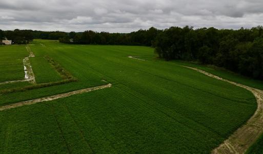 Photo #18 of SOLD property in Off Faro Rd. , Fremont, NC 37.7 acres