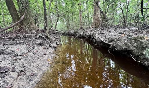 Photo #19 of SOLD property in Off Faro Rd. , Fremont, NC 37.7 acres