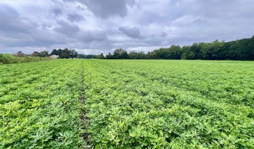 Photo #22 of SOLD property in Off Faro Rd. , Fremont, NC 37.7 acres
