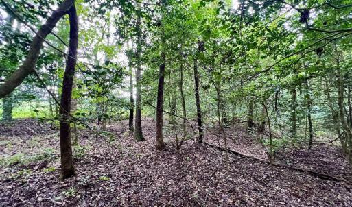 Photo #23 of SOLD property in Off Faro Rd. , Fremont, NC 37.7 acres