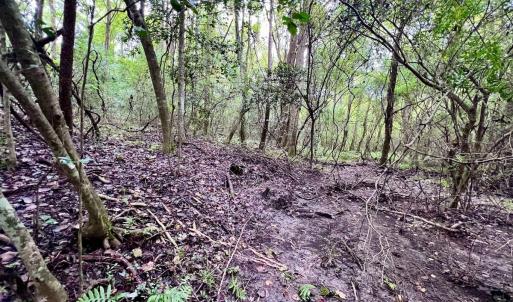 Photo #25 of SOLD property in Off Faro Rd. , Fremont, NC 37.7 acres