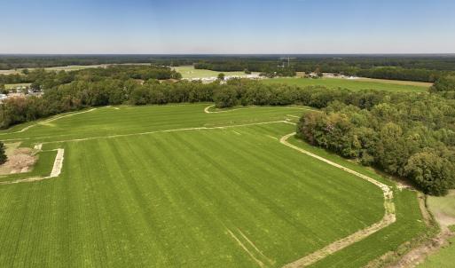 Photo #6 of SOLD property in Off Faro Rd. , Fremont, NC 37.7 acres