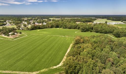 Photo #7 of SOLD property in Off Faro Rd. , Fremont, NC 37.7 acres