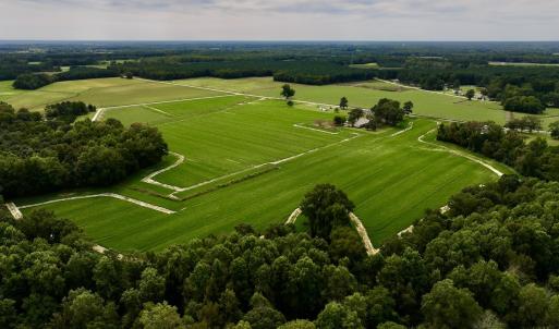 Photo #10 of SOLD property in Off Faro Rd. , Fremont, NC 37.7 acres