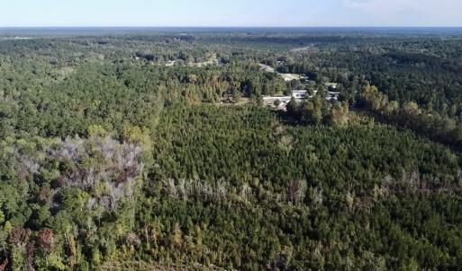Photo #10 of Off JEROME LN, Linden, NC 28.0 acres