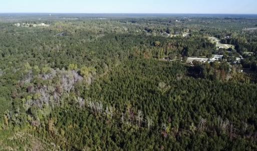 Photo #11 of Off JEROME LN, Linden, NC 28.0 acres