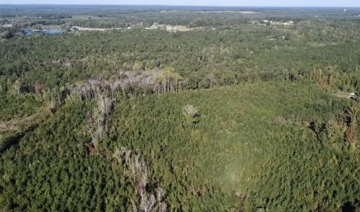 Photo #12 of Off JEROME LN, Linden, NC 28.0 acres