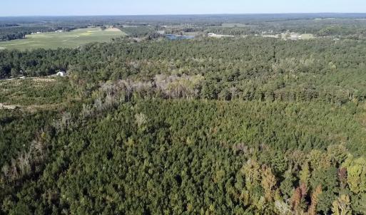 Photo #13 of Off JEROME LN, Linden, NC 28.0 acres