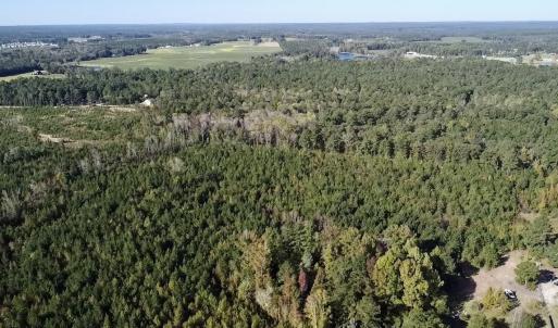 Photo #14 of Off JEROME LN, Linden, NC 28.0 acres