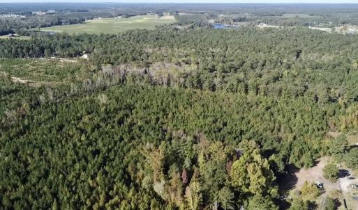 Photo #15 of Off JEROME LN, Linden, NC 28.0 acres