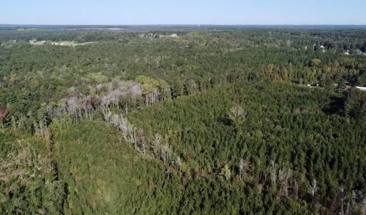 Photo #17 of Off JEROME LN, Linden, NC 28.0 acres