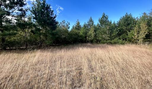 Photo #19 of Off JEROME LN, Linden, NC 28.0 acres