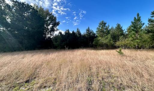 Photo #20 of Off JEROME LN, Linden, NC 28.0 acres