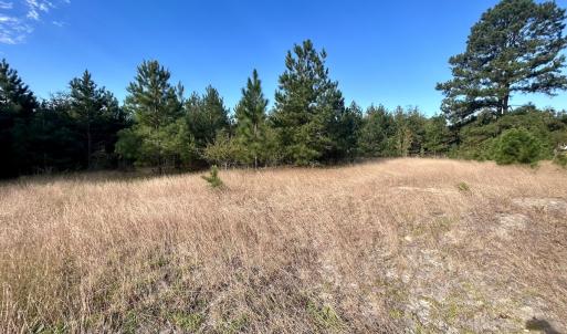 Photo #21 of Off JEROME LN, Linden, NC 28.0 acres