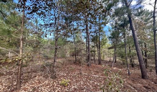 Photo #26 of Off JEROME LN, Linden, NC 28.0 acres