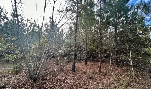 Photo #28 of Off JEROME LN, Linden, NC 28.0 acres