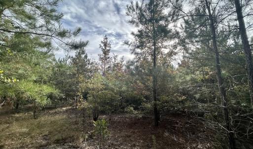 Photo #30 of Off JEROME LN, Linden, NC 28.0 acres