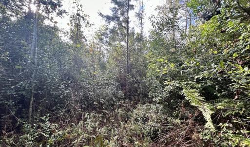 Photo #32 of Off JEROME LN, Linden, NC 28.0 acres
