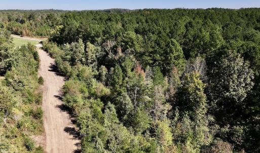 Photo #9 of Off Weadon Road, Blanch, NC 41.3 acres