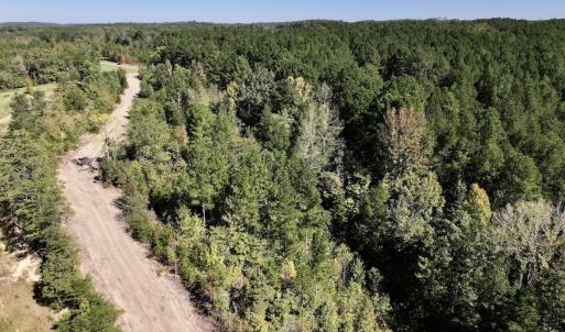 Photo #10 of Off Weadon Road, Blanch, NC 41.3 acres