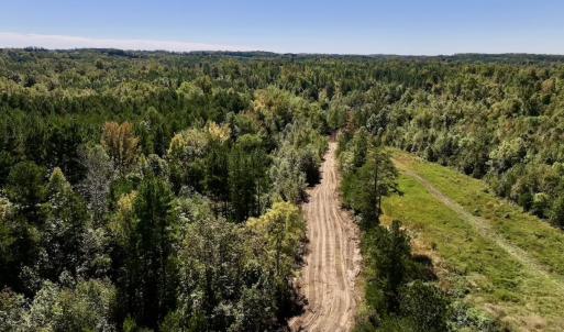 Photo #12 of Off Weadon Road, Blanch, NC 41.3 acres