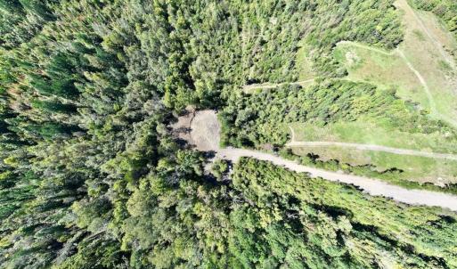 Photo #13 of Off Weadon Road, Blanch, NC 41.3 acres