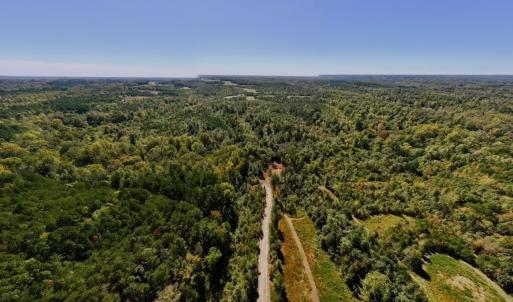 Photo #14 of Off Weadon Road, Blanch, NC 41.3 acres