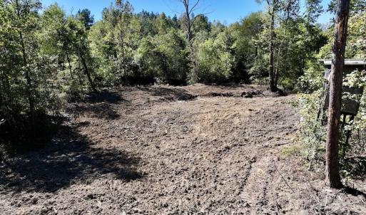 Photo #15 of Off Weadon Road, Blanch, NC 41.3 acres