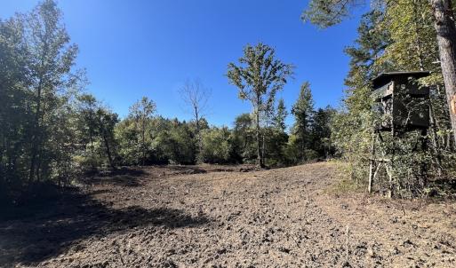 Photo #16 of Off Weadon Road, Blanch, NC 41.3 acres