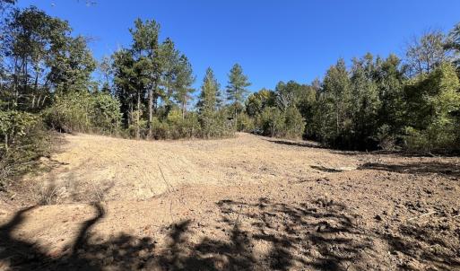 Photo #17 of Off Weadon Road, Blanch, NC 41.3 acres