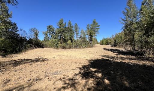Photo #18 of Off Weadon Road, Blanch, NC 41.3 acres