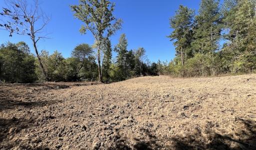 Photo #19 of Off Weadon Road, Blanch, NC 41.3 acres