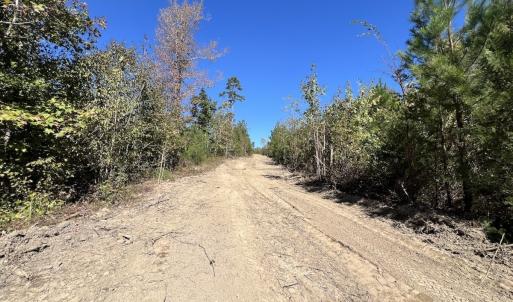 Photo #20 of Off Weadon Road, Blanch, NC 41.3 acres