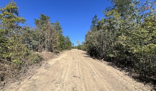 Photo #21 of Off Weadon Road, Blanch, NC 41.3 acres