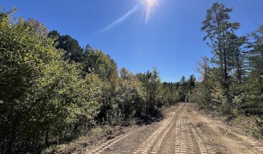 Photo #22 of Off Weadon Road, Blanch, NC 41.3 acres
